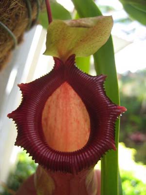 e5