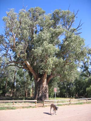 e7