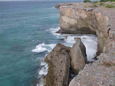 P4050104 (Small)