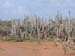 P4050055 (Small)